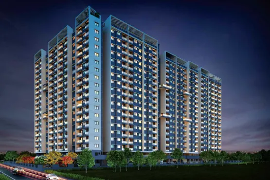 PLATINUM CITY LIGHT